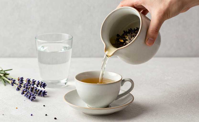 Female Strength Training Program